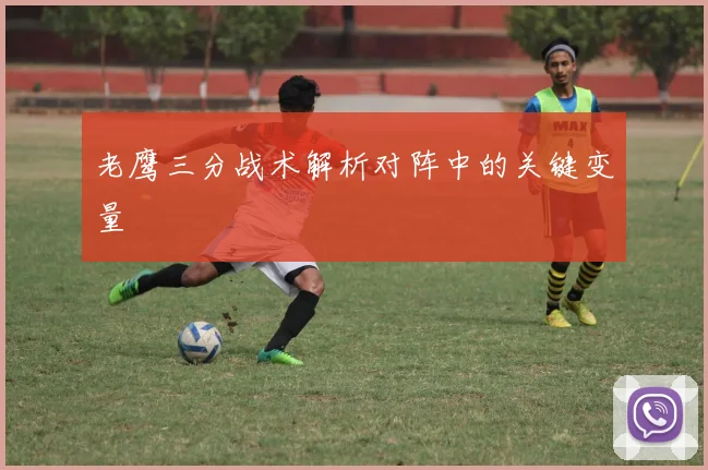 老鹰三分战术解析对阵中的关键变量